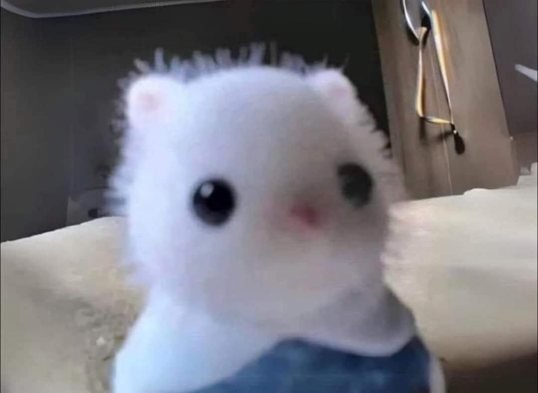 Me perdí…¡pero ya me encontré!