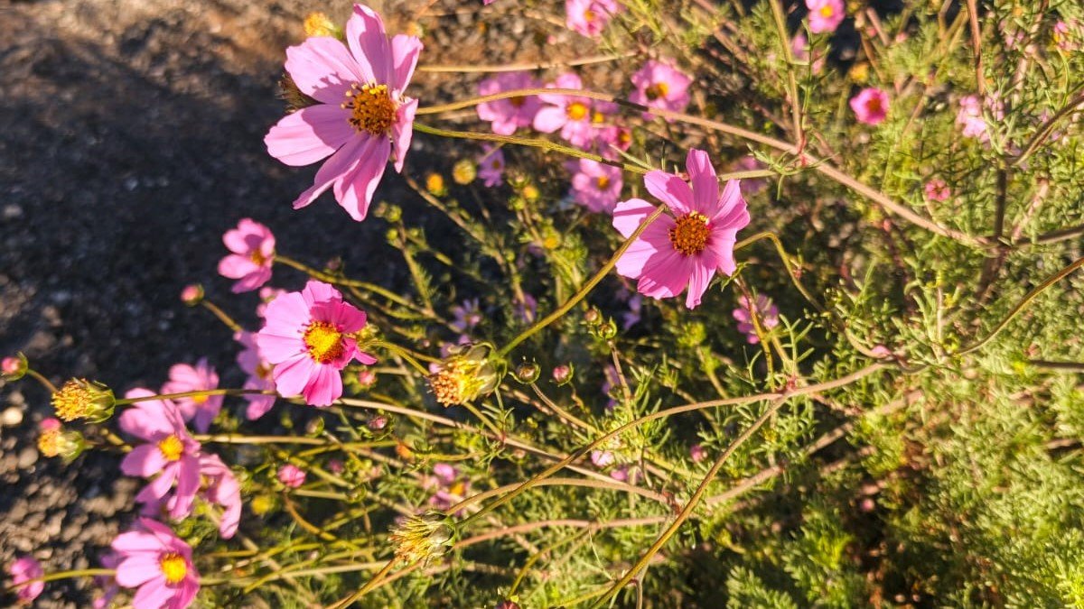 El ocaso de mis 24 años